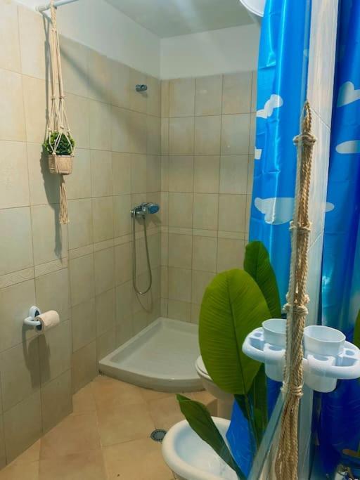 City Central Amazona Appartment Tiran Dış mekan fotoğraf